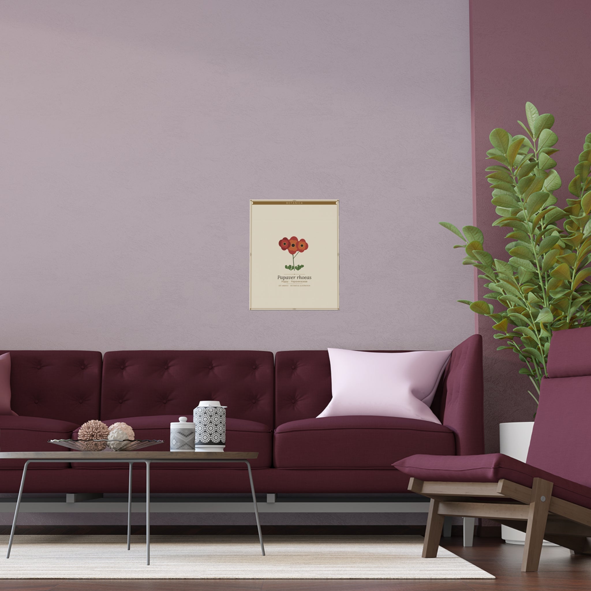 Poppy botanical poster (Latin)