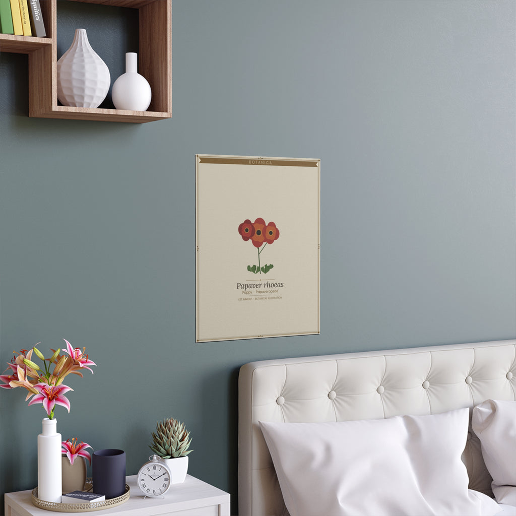 Poppy botanical poster (Latin)