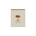 Poppy botanical poster (Latin)