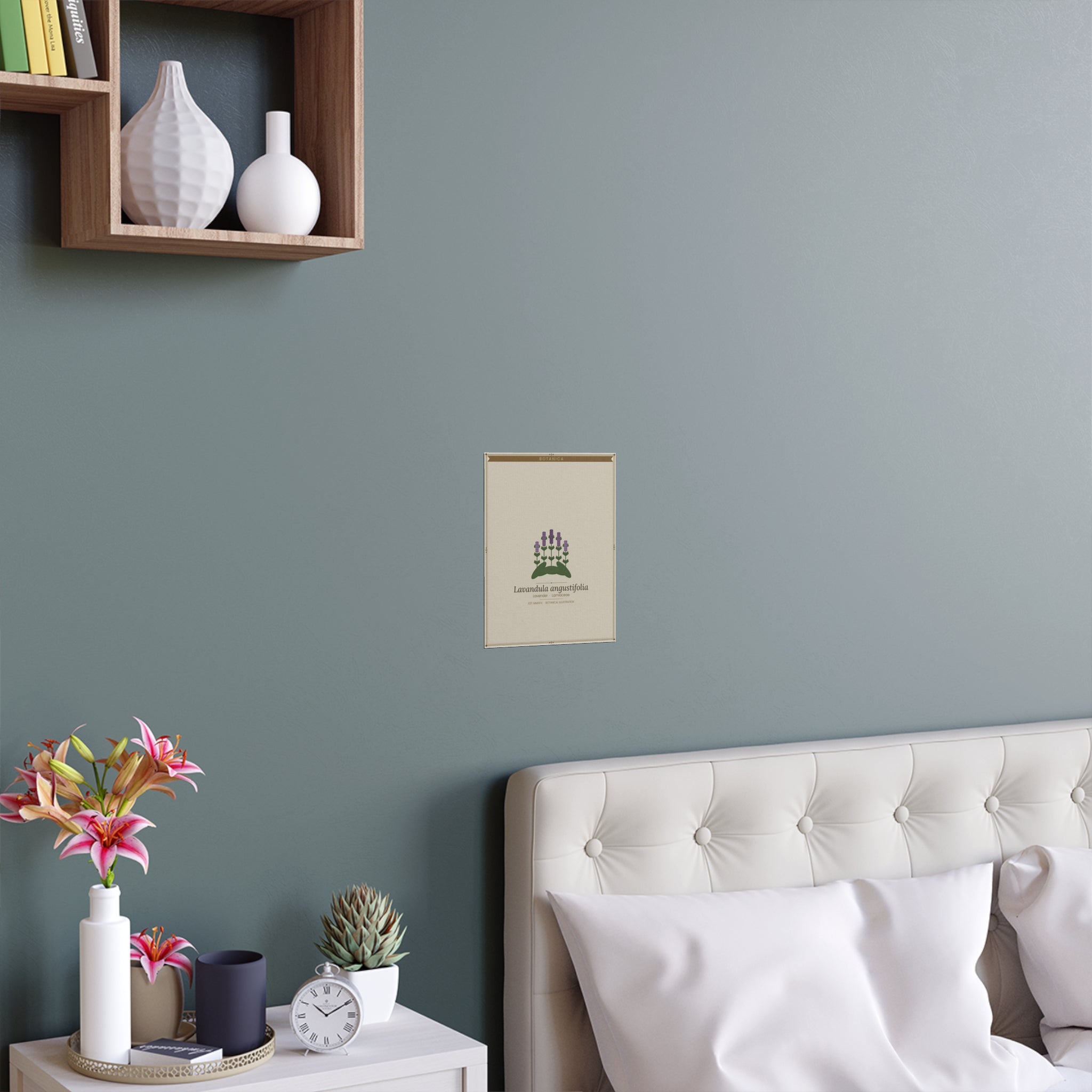 Lavender botanical poster (Latin)