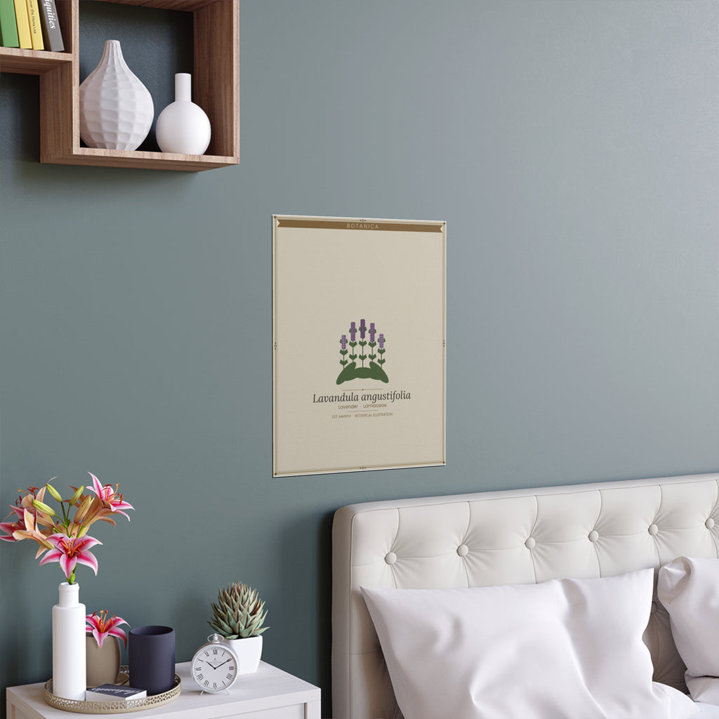 Lavender botanical poster (Latin)