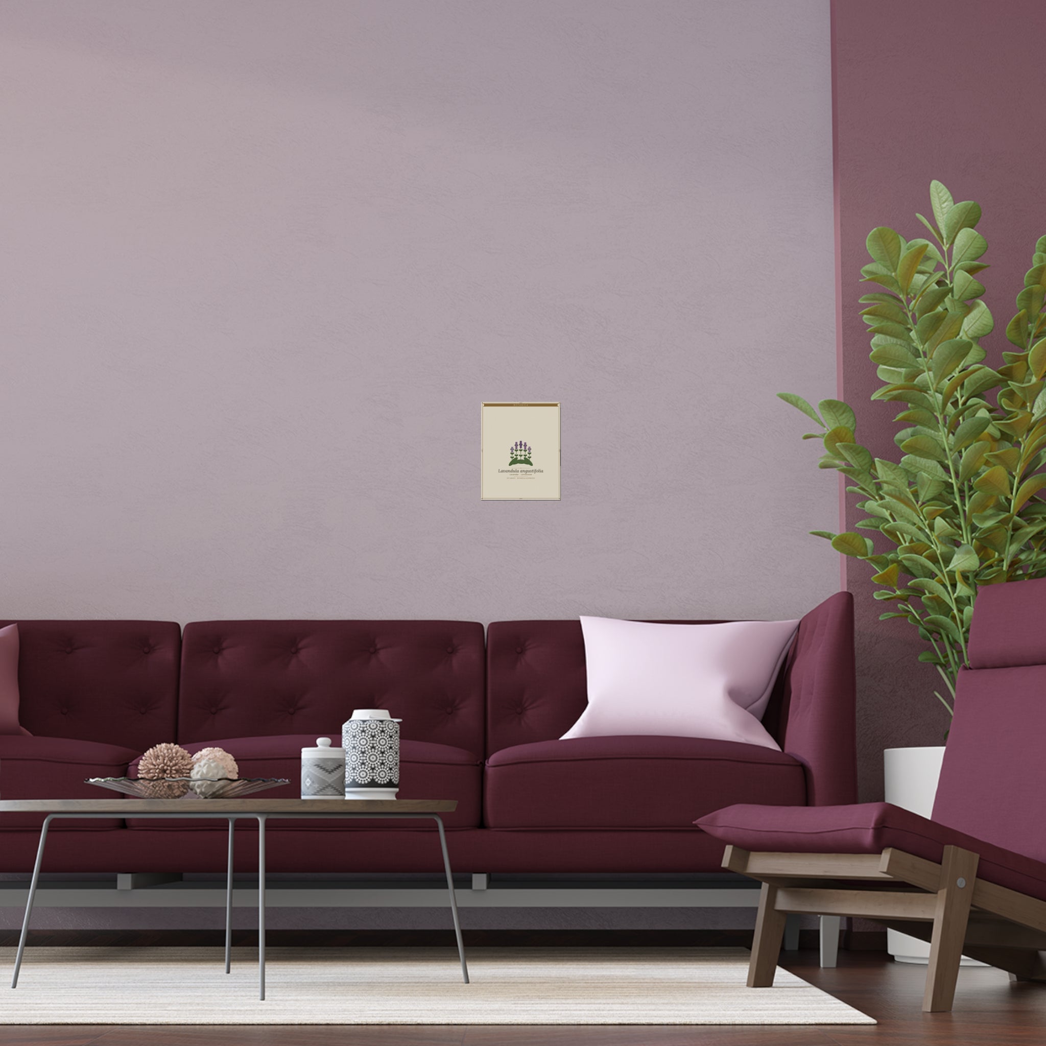 Lavender botanical poster (Latin)