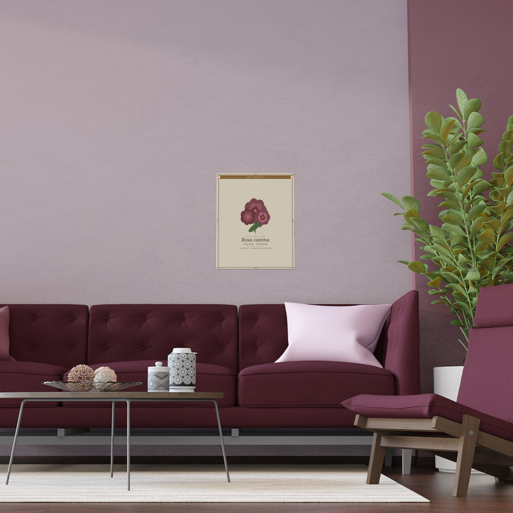 Dog Rose botanical poster (Latin)