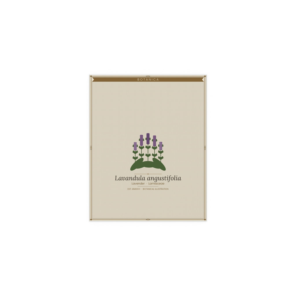 Lavender botanical poster (Latin)