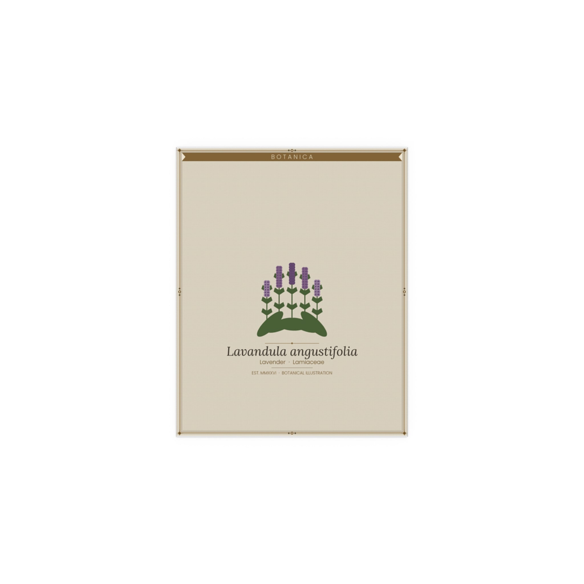Lavender botanical poster (Latin)