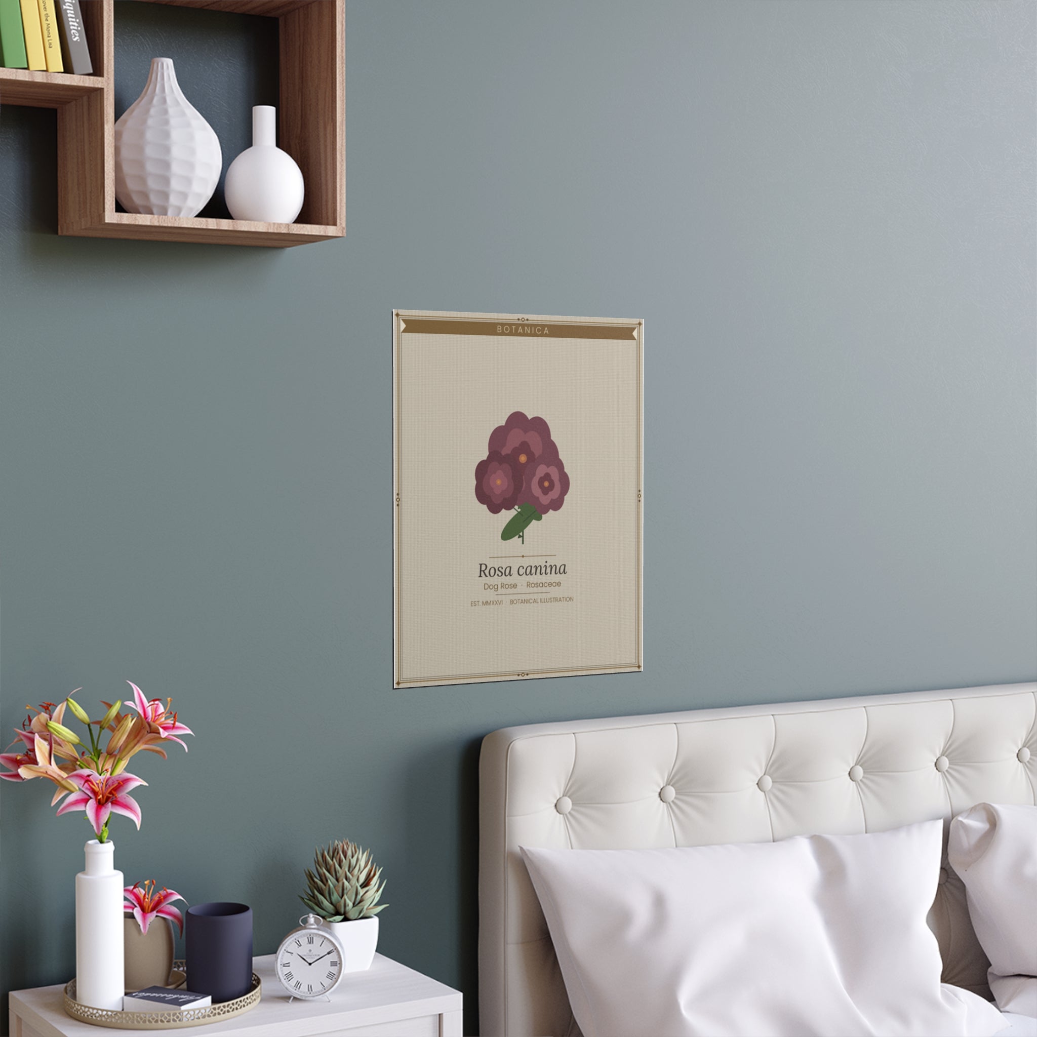 Dog Rose botanical poster (Latin)